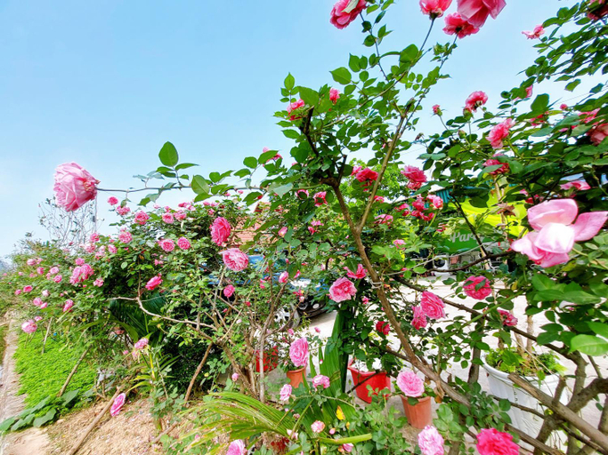Others 4, Green Farmstay Ninh Bình, Hoa Lư