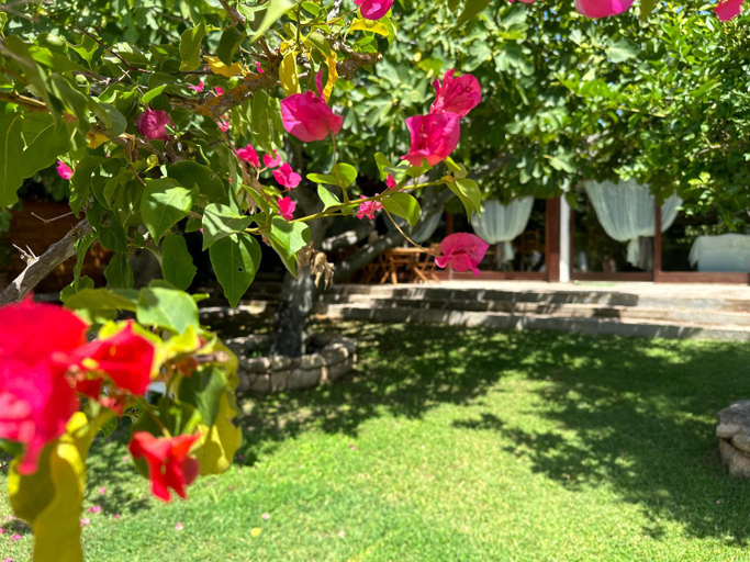 Others 4, Villa Niloan Olbia, Olbia-Tempio