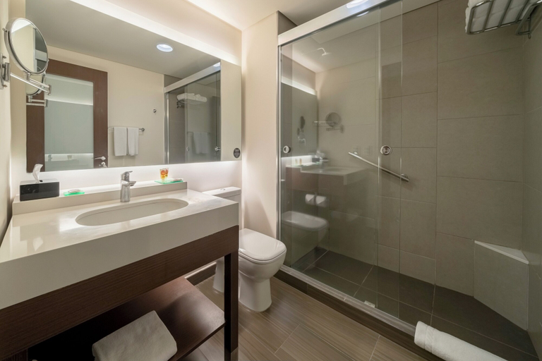 Bathroom 5, Hyatt Place Sao Jose do Rio Preto, São José do Rio Preto