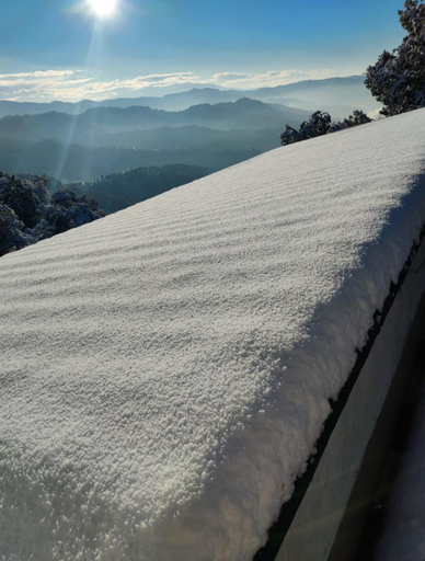 Others 2, Anand Niketan Homestay Shimla, Shimla