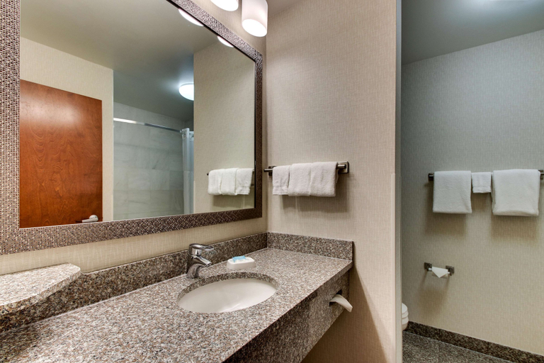 Bathroom 4, Drury Inn & Suites Meridian, Lauderdale