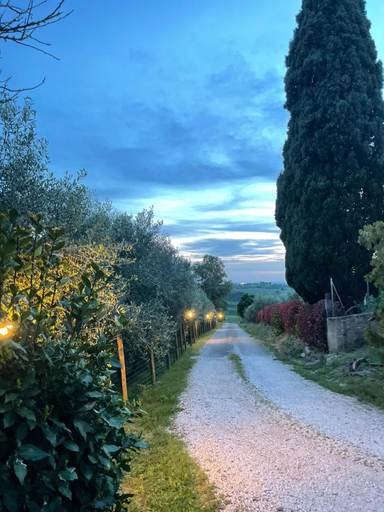 Others 3, Fattoria della Sabatina, Grosseto