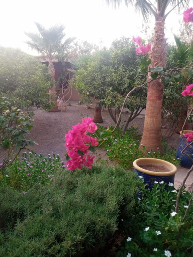 Others 5, Auberge Bassou, Ouarzazate