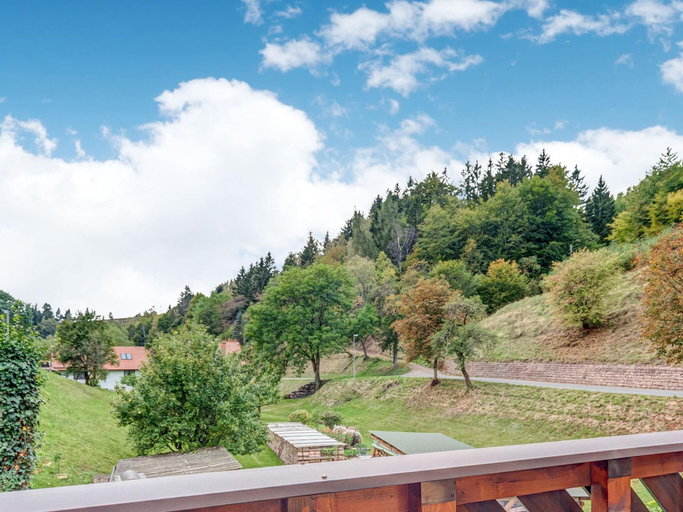 Others 5, Ferienhaus im Thuringer Wald, Hildburghausen
