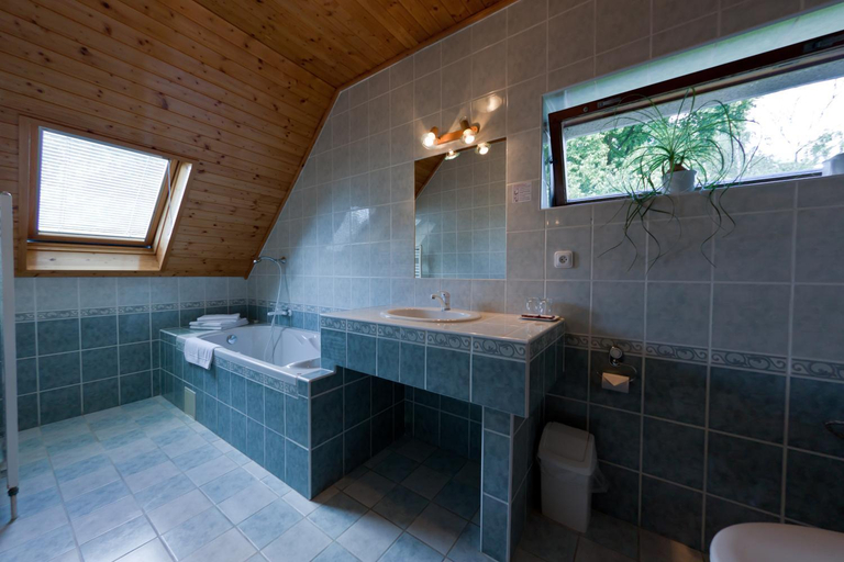 Others 5, Penzion Linhart, Nymburk
