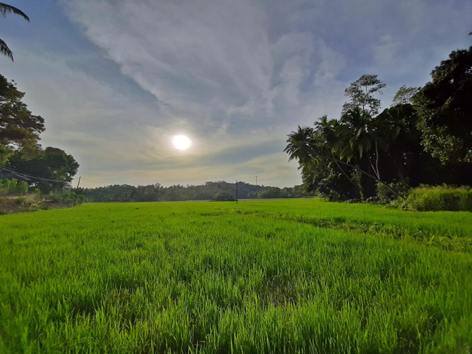 Surrounding environment 5, Sugoi House, Habaraduwa