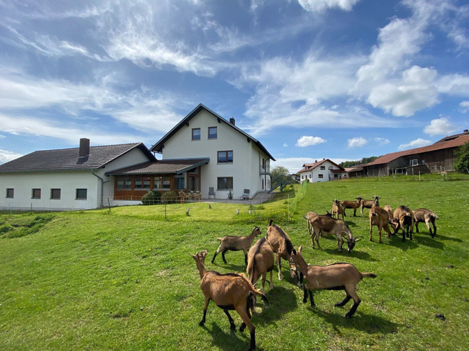Others 5, Apartment in Bavaria Near Forest, Cham