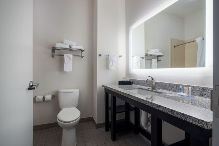 Bathroom 4, Comfort Suites Denham Springs, Livingston