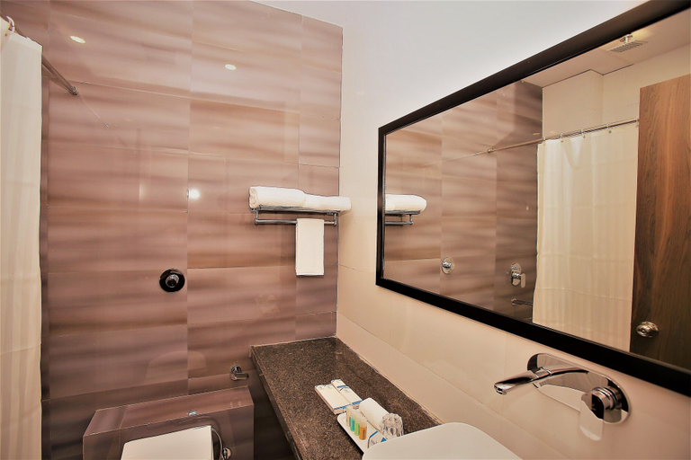 Bathroom 4, Hotel Regents, Surat