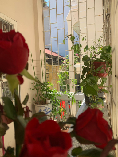 Others 5, Huong’s Family Homestay, Hoàn Kiếm