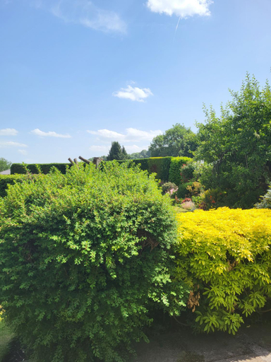 Others 4, The Garden Rooms at Tannery House, Derbyshire