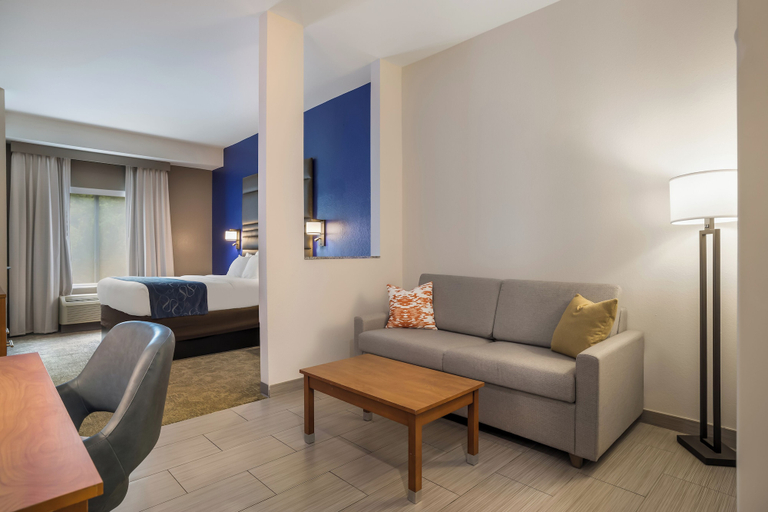 Others 5, Comfort Suites Denham Springs, Livingston