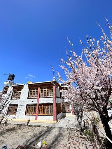 Others 4, Zambala guest house, Leh