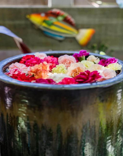 Food & Drinks 5, Buhwi Bira Byron Bay Studio - Central, Byron