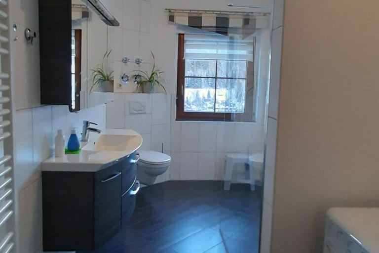 Bathroom, Cozy Ski Base With Garden, Erzgebirgskreis