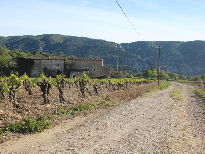 Others 4, Les Guillaume Rey, Vaucluse