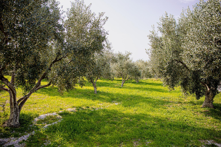 Others 4, Myrtilli Cottages Pelion, Thessaly