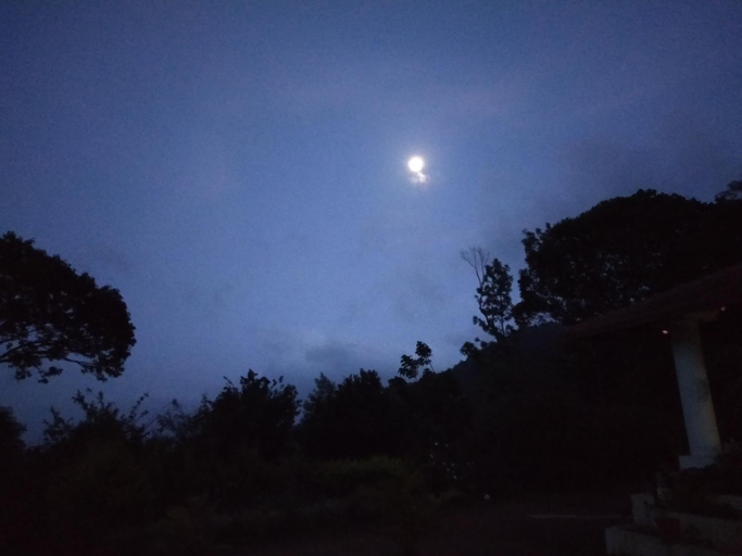 Others 4, Abiyal Mountain Stay, Kodagu