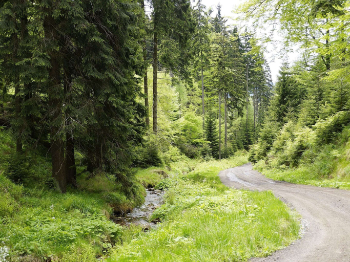 Others 4, Holiday Home in Pernink in a Beautiful Mountainous, Karlovy Vary