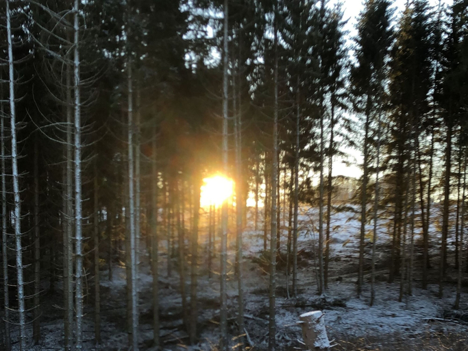 Others 4, Holiday Home Near Harzgerode With Whirlpool, Harz