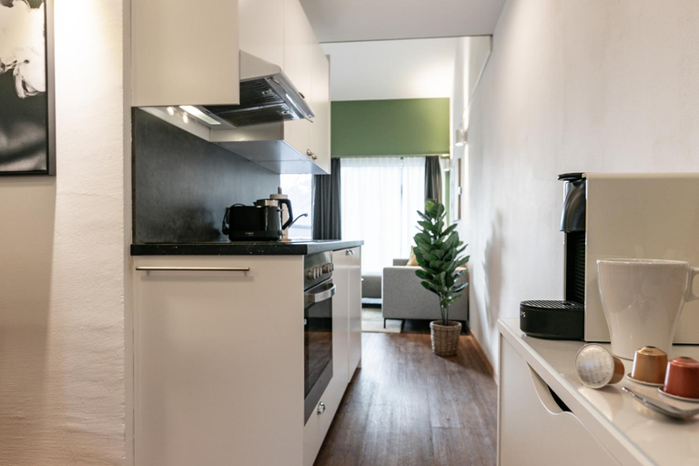 Others 5, Spirit Apartments Suites - Zentral - Parking - AC, Interlaken