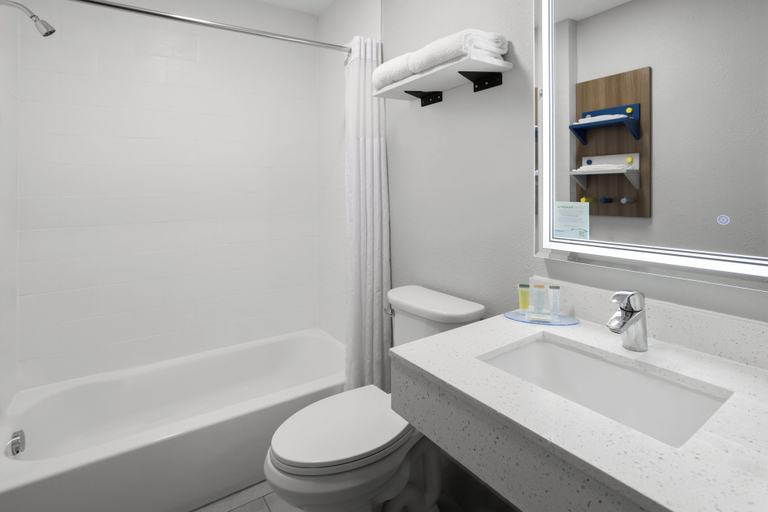 Bathroom 4, Microtel Inn & Suites by Wyndham Dover, Kent
