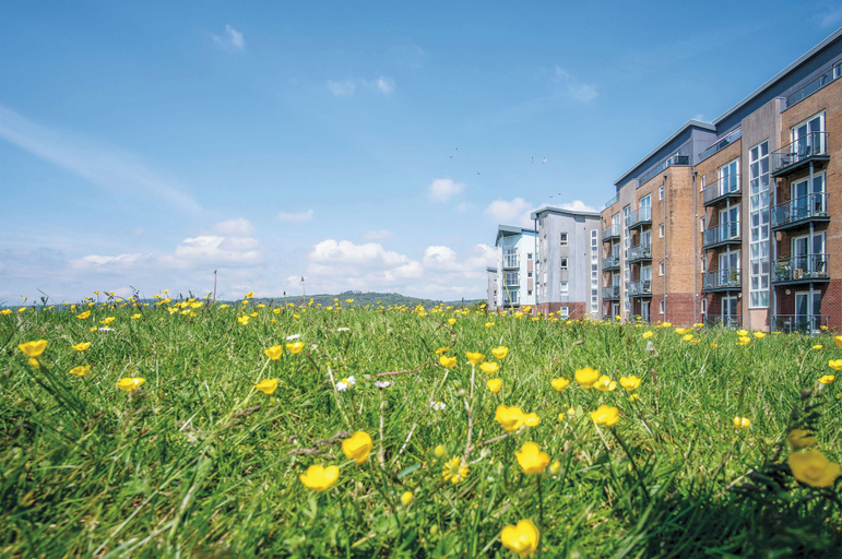 Exterior & Views, Beach View - 2 Bed Apartment - Llanelli, Carmarthenshire