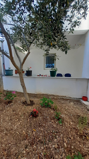Exterior & Views 1, Apartments Slavica, Bol