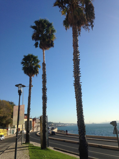 Others 5, Beautiful Private Room next to Lisbon, Oeiras