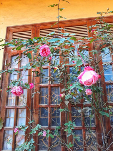 Others 5, Thanh Ha Homestay Sapa, Sa Pa