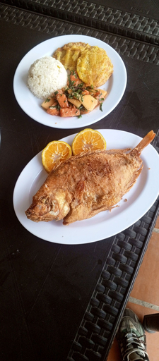 Food & Drinks 3, Balneario manantial, Pauna