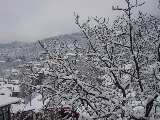 Others 5, To Balkoni tis Agorianis, Central Greece