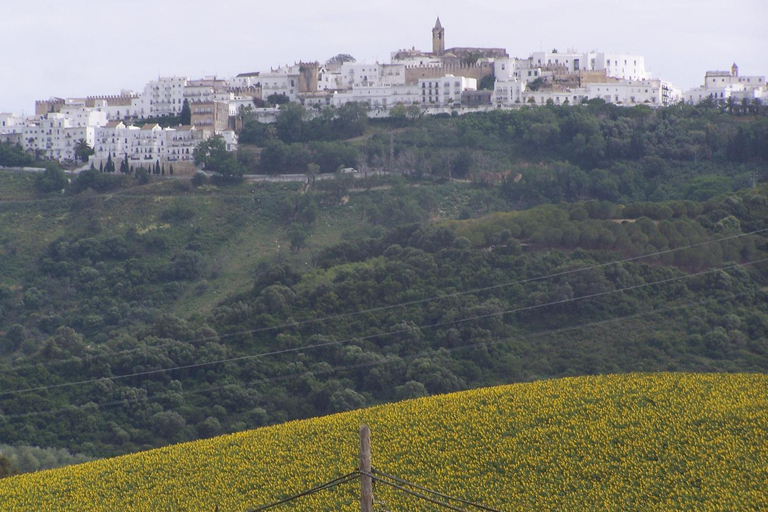 Others 4, Vivienda Turistica de Alojamiento Rural Silla Vieja, Cádiz