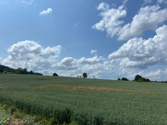 View from property 2, Holiday Home in Lierneux With Private Garden, Liège