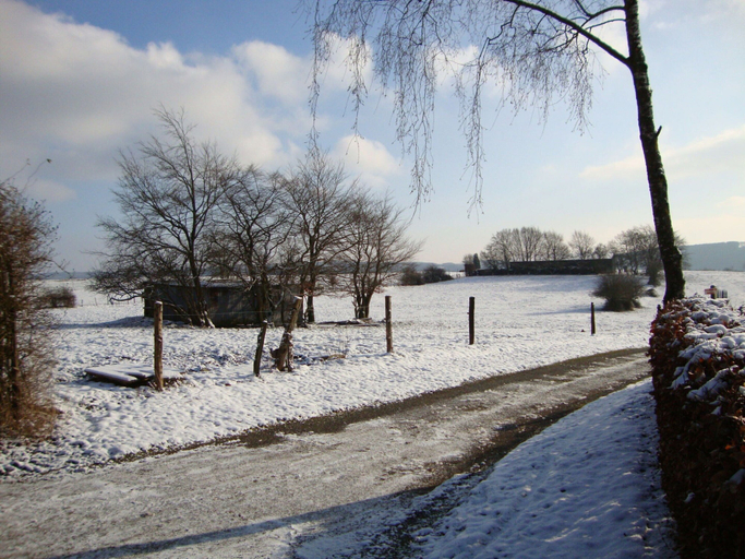 Others 4, Spacious Villa in La Roche en Ardenne, Luxembourg