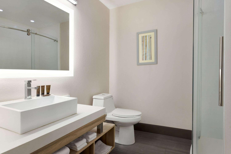 Bathroom 4, Wingate by Wyndham Murfreesboro, Rutherford