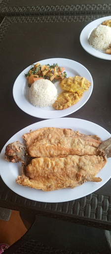 Food & Drinks 4, Balneario manantial, Pauna