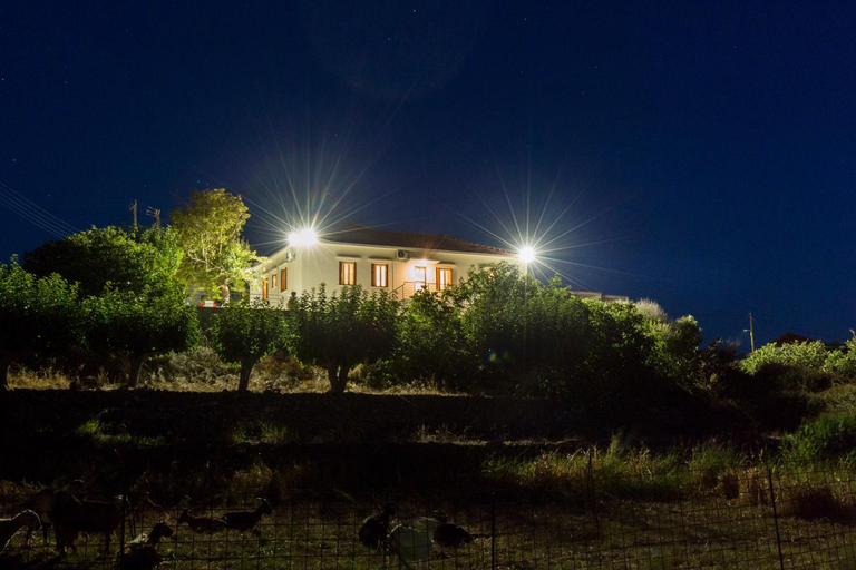 Others 3, Villa Alexandra, Crete
