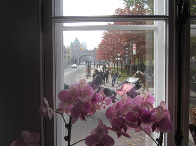 Others 4, Hotel Manoir de l'Esplanade, Communauté-Urbaine-de-Québec