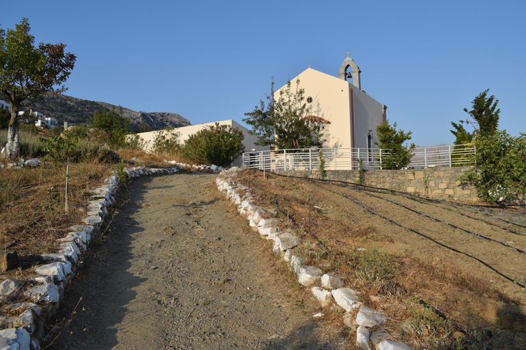 Others 5, Lasinthos Eco Park, Crete
