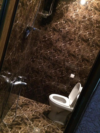 Bathroom 2, temuriRoom, Khobi