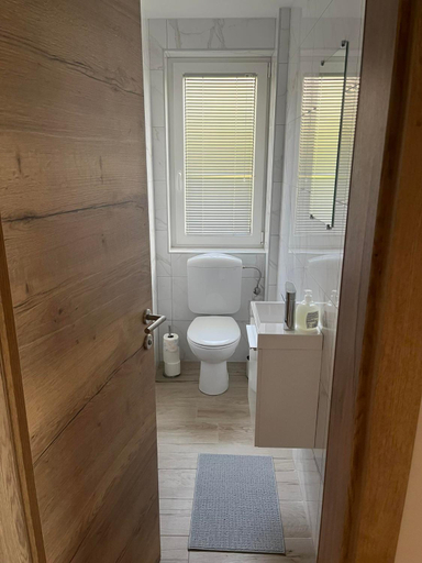 Bathroom 2, Apartmaji Seljak, Preddvor