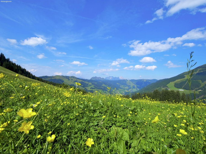 Others 4, Spacious Apartment in Salzburg near Ski Area, Zell am See