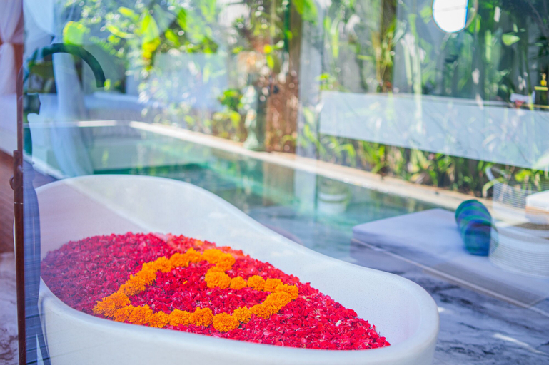 Swimming Pool 5