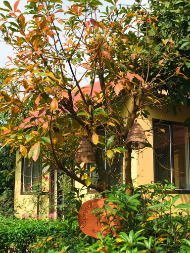 Exterior & Views 1, Sunny Trang An homestay, Ninh Bình
