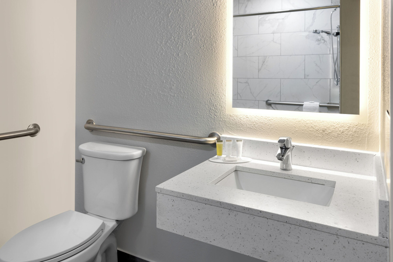 Bathroom 4, Microtel Inn & Suites by Wyndham Dover, Kent