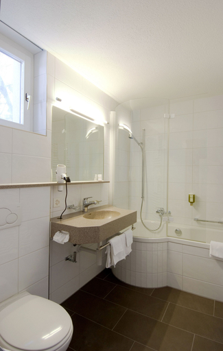 Bathroom 4, Schloss Ragaz, Sarganserland
