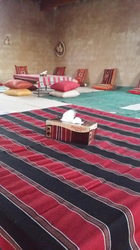 Public Area 3, Desert Wonders Camp, Biddiya