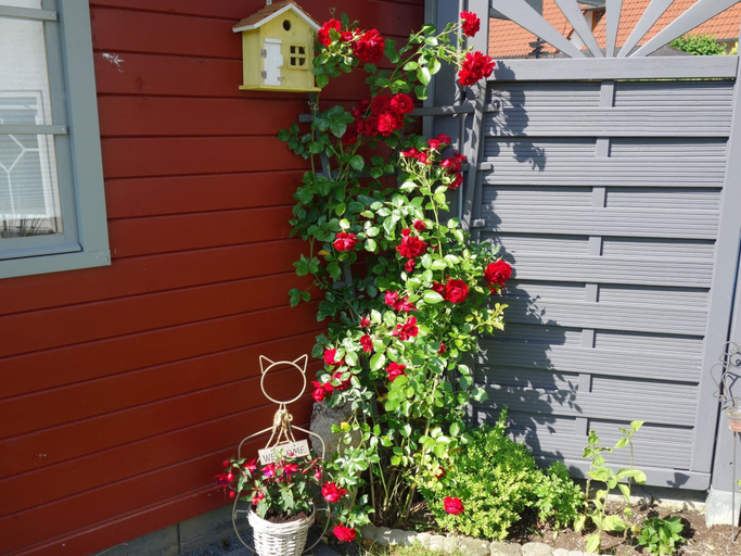 Exterior & Views 2, Ferienwohnung im Ennerichtal, Limburg-Weilburg