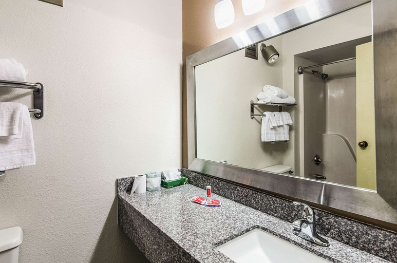 Bathroom, Econo Lodge Inn & Suites Norton - Wise South, Norton